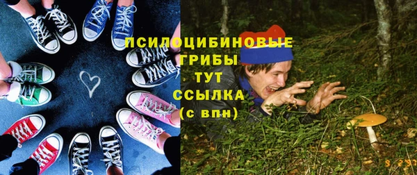 хмурый Алексин