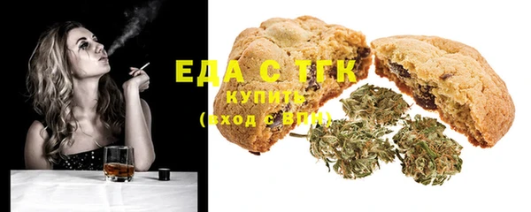 хмурый Алексин