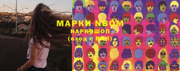 хмурый Алексин