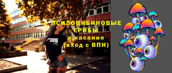 хмурый Алексин