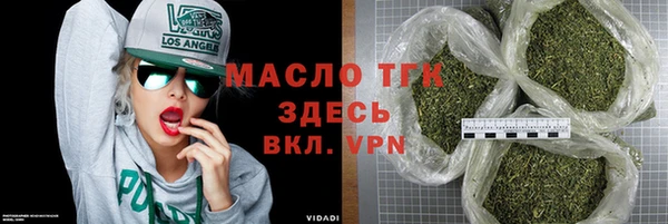 хмурый Алексин