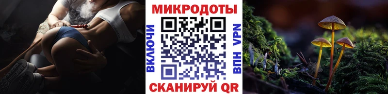 это состав  Куса  Галлюциногенные грибы MAGIC MUSHROOMS  хочу наркоту 